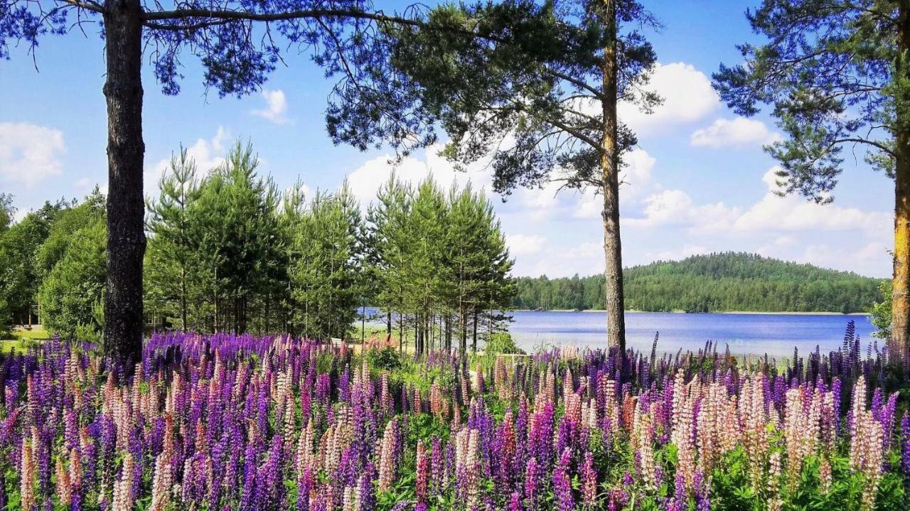 Villa Maria Cottages Jaala Екстериор снимка